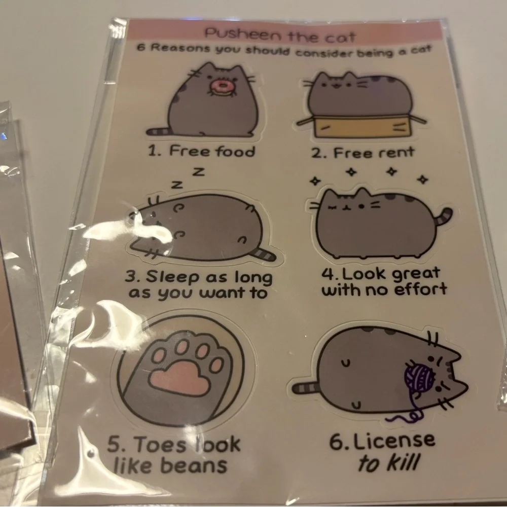 Pusheen the Cat Set